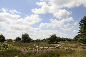mehlinger heide