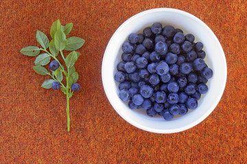 Close up photo of blueberries on plate. Fresh ripe juicy bilberries, bright autumn colorful background. Concept for healthy diet with berries. Selective Soft focus