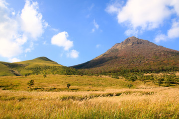 由布岳登山口