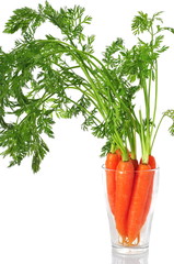 Fresh carrot bunch in a glass over white background