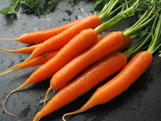 Fresh carrot bunch on dark background
