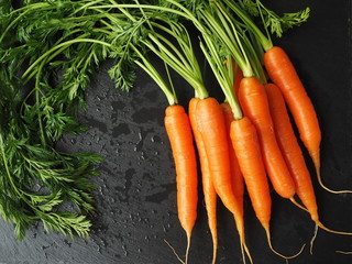 Fresh carrot bunch over dark background