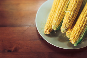 Boiled corn on a plate in the kitchen.