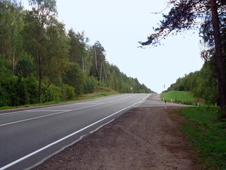 View of the road in the woodland
