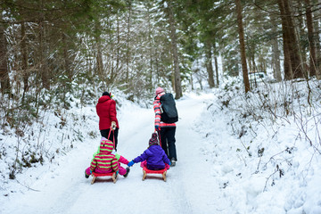 People are pulling sledge on the mountain road in woods.