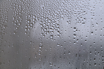 Spring. Raindrops on a sweaty glass.