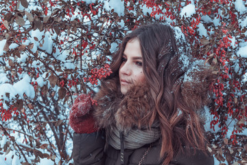 winter, berries, lady, people, frost, ice, frozen, red, snow