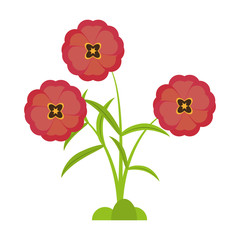 buttercup flower bloom spring vector illustration eps 10