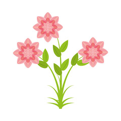 petunia flower nature spring vector illustration eps 10