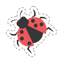 ladybug animal insect garden cut line vector illustration eps 10