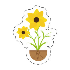 nasturtium petal spring growing vector illustration eps 10