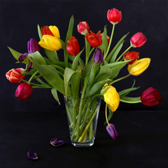 Fading tulips in a glas vase on dark background