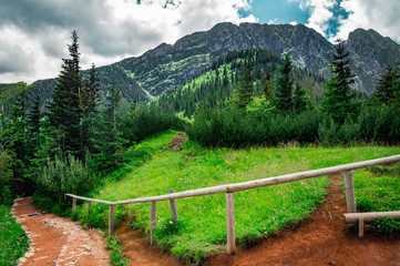 Fence in the forest mountain. Tatra, Poland
