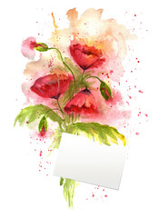 Watercolor illustration of red poppy flowers on white background.