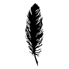 Silhouette black and white monochrome feather isolated vector
