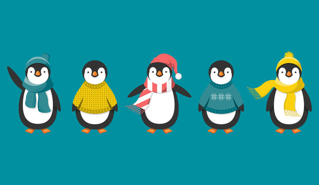 Penguins in warm clothes