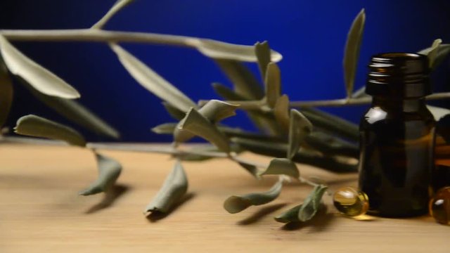 Olea europaea Ulliri &Epsilon;&lambda;&iota;ά Ձիթենի եվրոպական 油橄欖 Olivier Olyf Olivenbaum Herbalism Erboristeria Pflanzenheilkunde Herboristerie Ziołolecznictwo צמחי מרפא