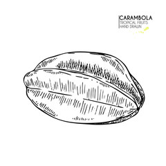 Vector hand drawn set of exotic fruits. Isolated carambola. Engraved art. Delicious tropical vegetarian objects. smoothie bowls.