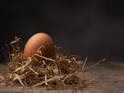 Organic brown egg