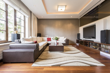 Spacious living room