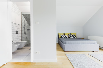 Bathroom and bedroom