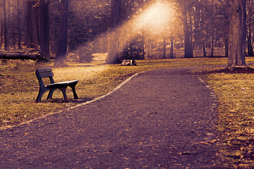 Plakat benches in the park at winter