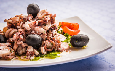 Octopus salad with olives and tomato on white plate