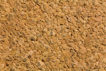 Cork tree identified texture closeup.