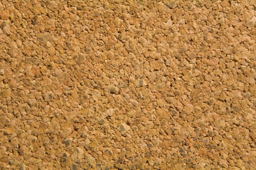 Cork tree identified texture closeup.