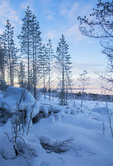 Beautiful Winter landscape. Vuokatti. Finland