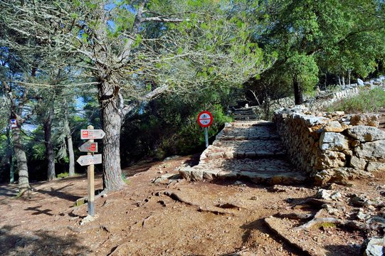 castell d&acute;alaro