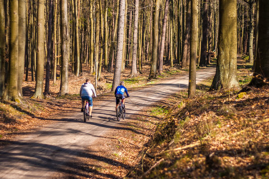 Two people cycling on ground road in the forest.