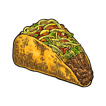 Tacos - mexican traditional food. Vector color vintage engraved