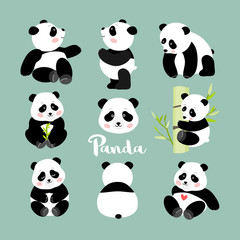 Fototapeta premium Zestaw młodych pozycji pandy, ilustracji wektorowych na białym tle