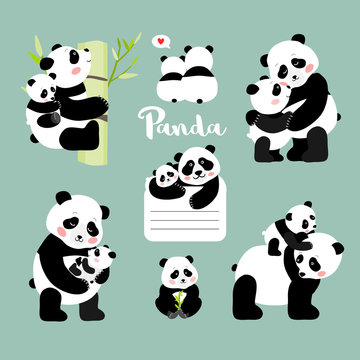 Set of panda mother with baby positions, isolated vector illustration