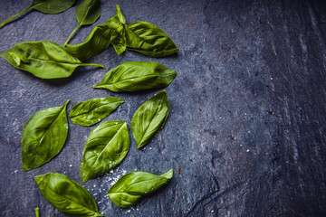 basil leaves on food background