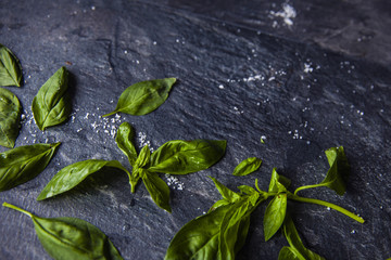 basil leaves on food background