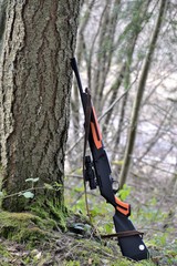 Naklejka premium Carabine de chasse