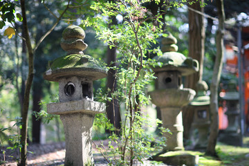Ancient stone lanterns at the entrance to a Shinto shrine in the Japanese city