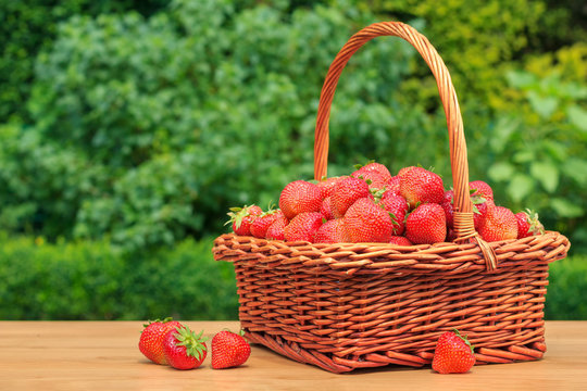 Fresh strawberries in a basket on wooden table in garden