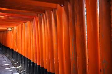 Red wooden torii gate in the territory of a Shinto temple in Kyoto, Japan