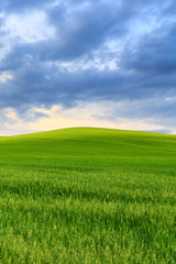 Fototapeta premium Tuscany landscape, beautiful green hills springtime