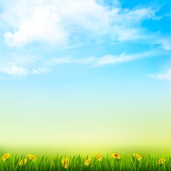 Fototapeta na wymiar Spring Nature Background With A Green Grass And Blue Sky With Clouds. Vector.