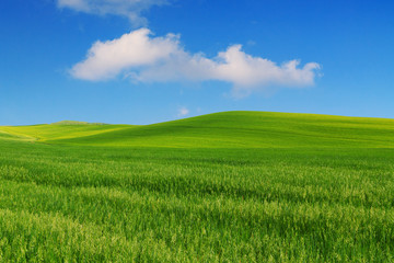 Tuscany landscape, beautiful green hills springtime