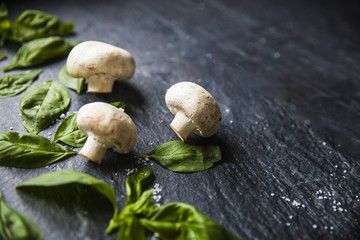 basil leaves on food background with mushrooms