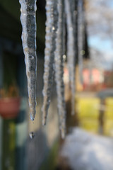 long shiny icicles hanging from the roof and drip