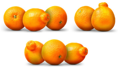 Fresh orange fruit isolated on white background