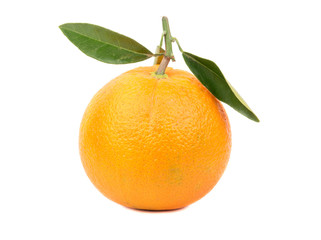 Fruit orange with leaves