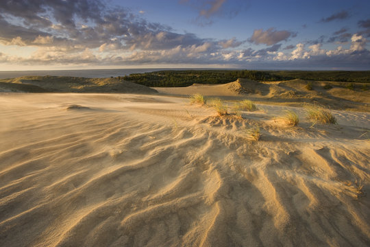 Sand dunes on Agilos Kopa, Nagliai Nature Reserve, Curonian Spit, Lithuania, June 2009