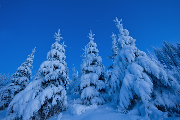 Blaue Stunde am Berg